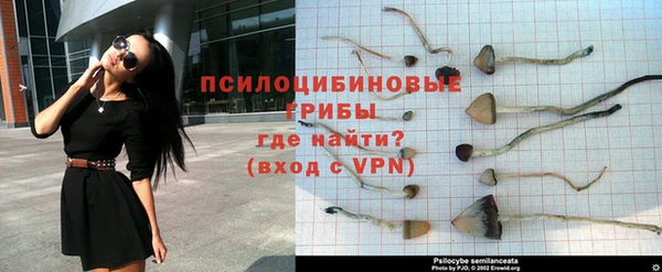 дурь Тутаев