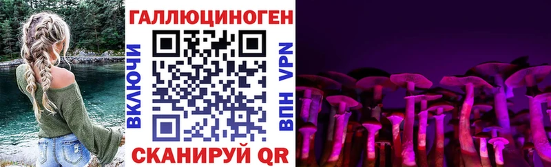 Псилоцибиновые грибы Cubensis наркотики Малгобек